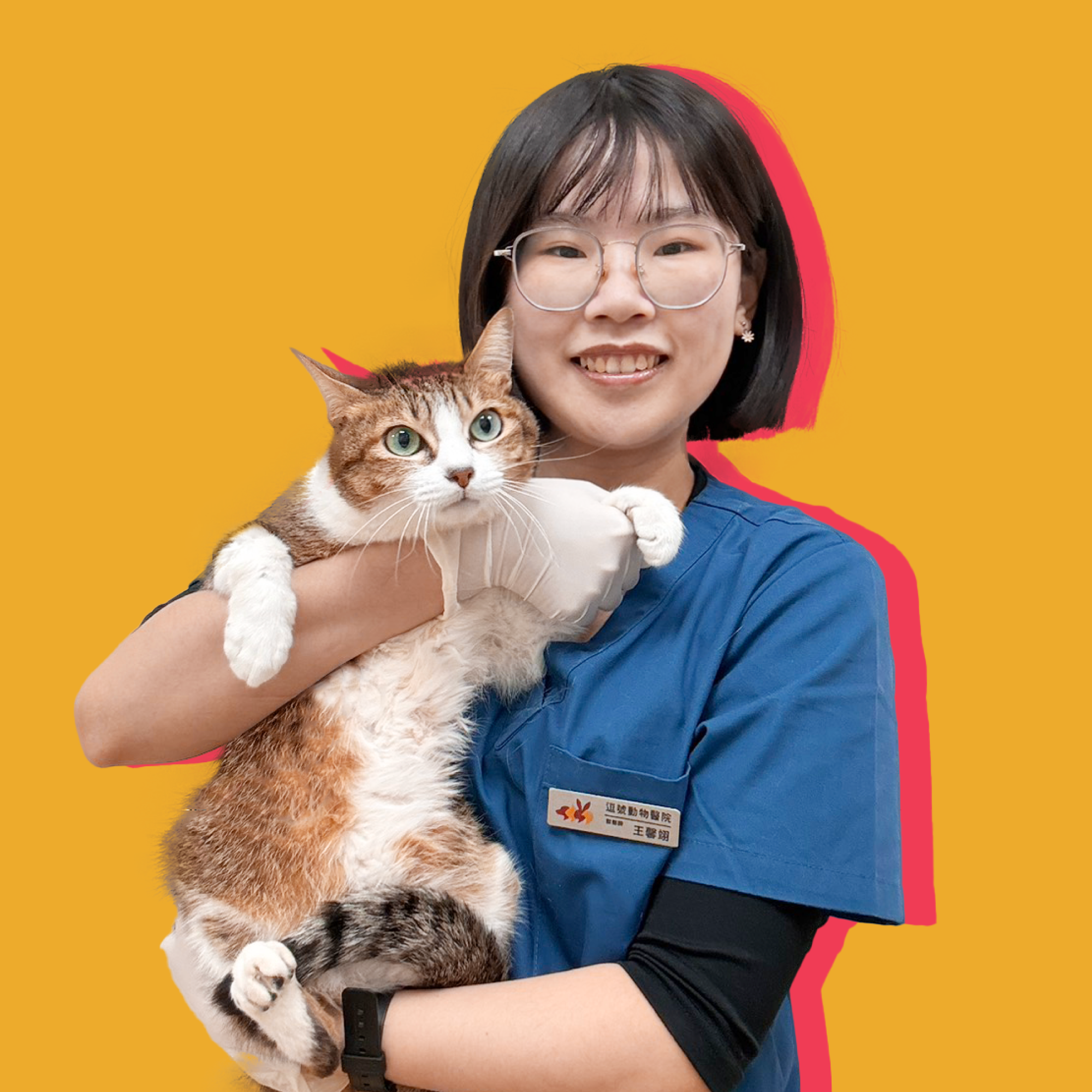 王馨翊