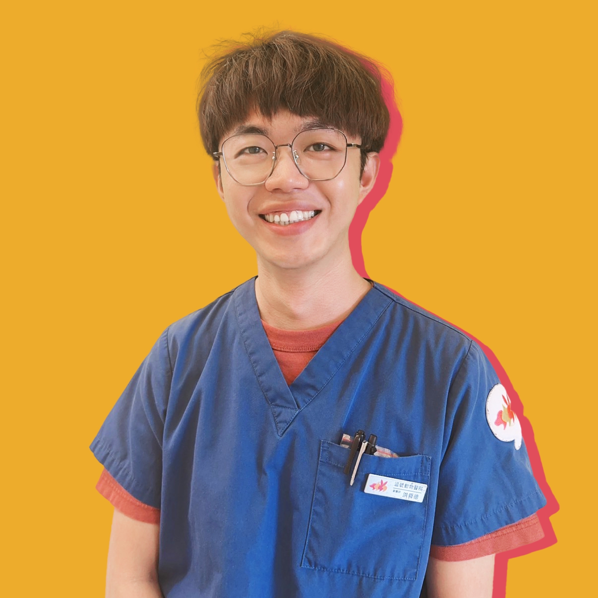 洪舜德